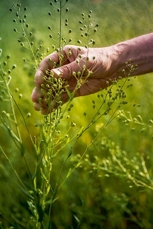 Foto: Christian Lang