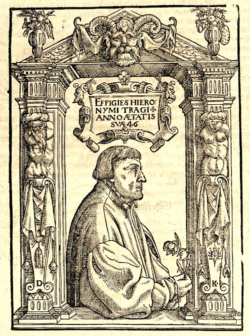 Hieronymus Bock
