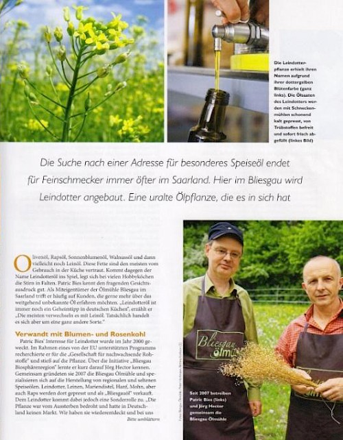 Das Öl der Kelten ist wieder da