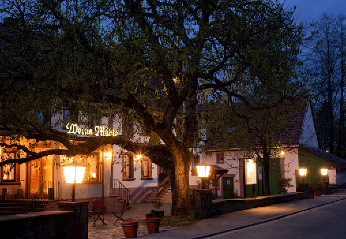 Landhof Wern´s Mühle - Leinöl in der Gastronomie Landhof Wern´s Mühle - Leinöl in der Gastronomie