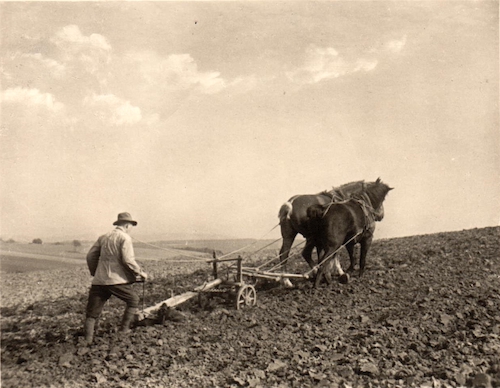 Ein Linsenfeld wird gepflügt