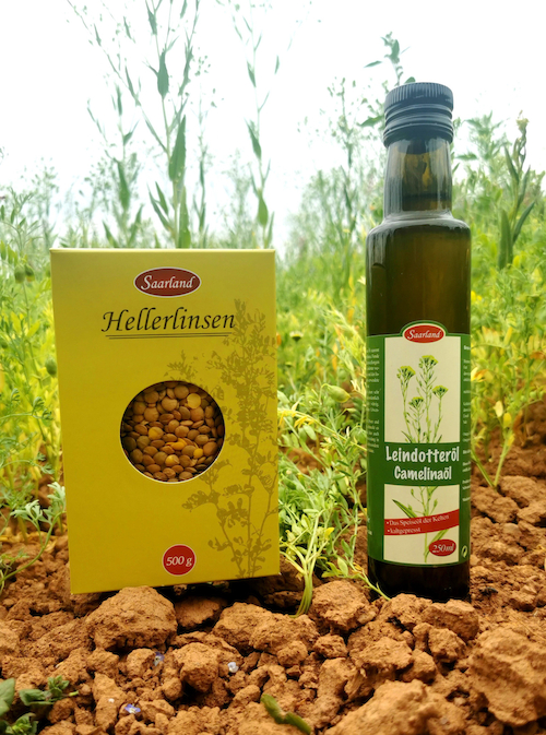 von einem Linsenfeld lassen sich gleich zwei Produkte gewinnen