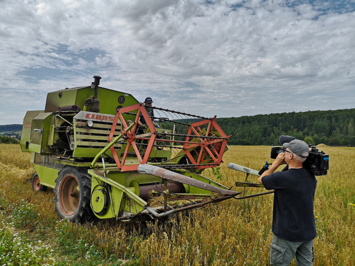 ein Linsenfeld als Filmkulisse – Linsenernte bei Brenschelbach im Bliesgau ein Linsenfeld als Filmkulisse – Linsenernte bei Brenschelbach im Bliesgau